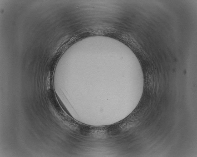 X0000067360694200604281725