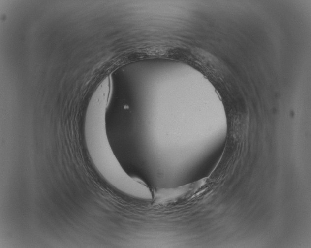 X0000067360697200604281725