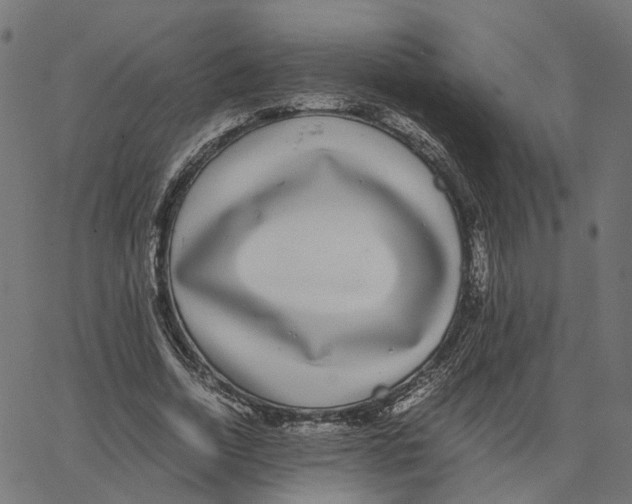 X0000067360730200604281724