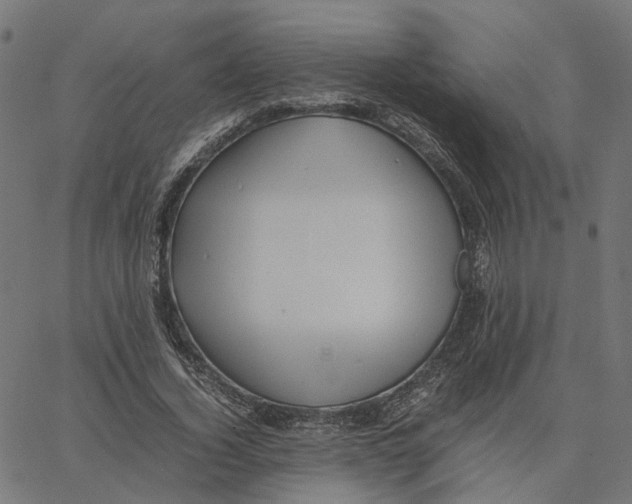 X0000067360732200604281724