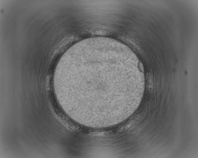 X0000067360738200604281724
