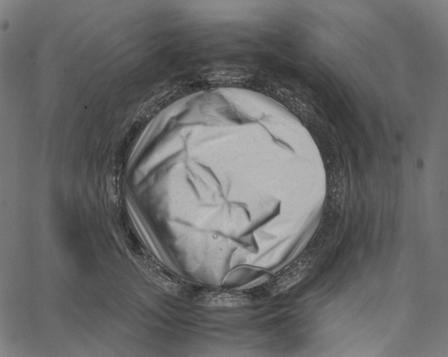 X0000067360755200604281725