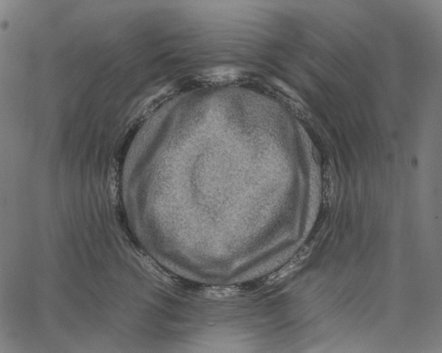 X0000067360762200604281725