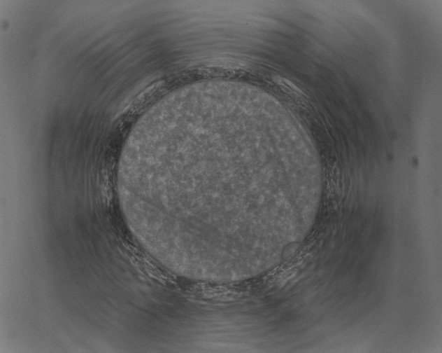 X0000067360774200604281724