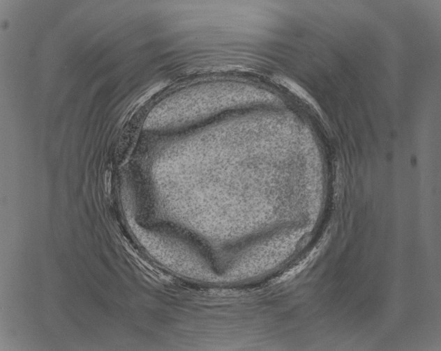 X0000067360777200604281724