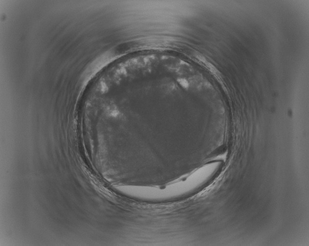 X0000067360779200604281724
