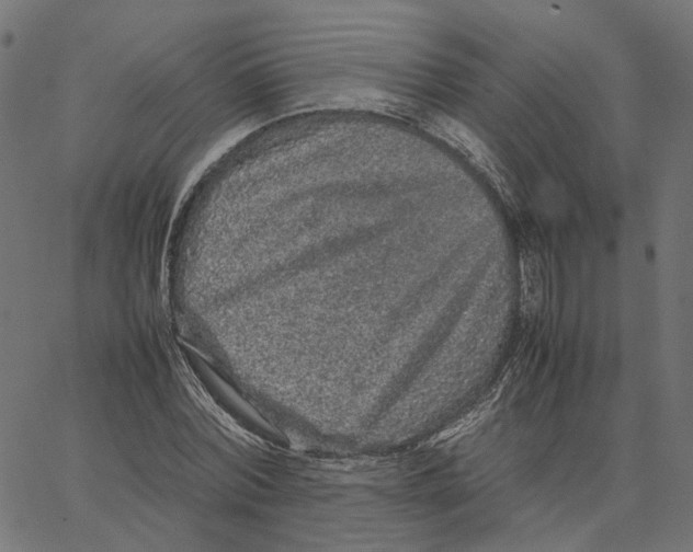 X0000067360780200604281724