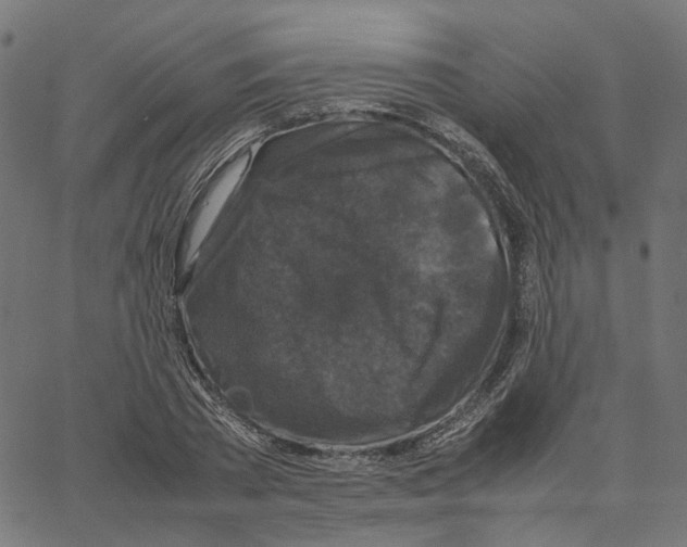 X0000067360785200604281724