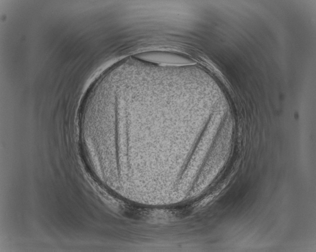 X0000067360787200604281724