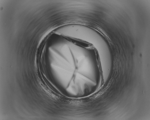 X0000067360788200604281724
