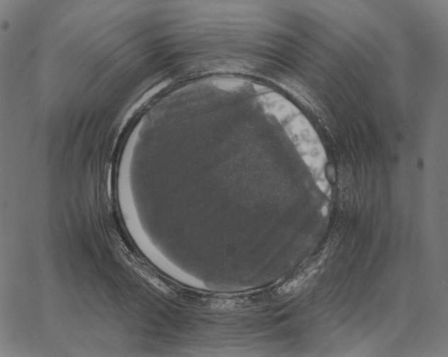 X0000067360790200604281724