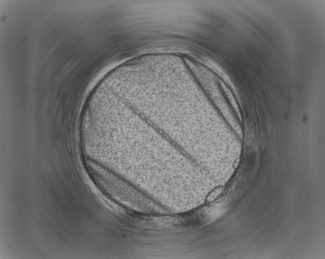 X0000067360803200604281724