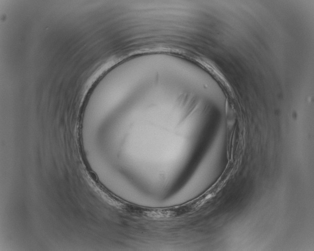 X0000067360805200604281724