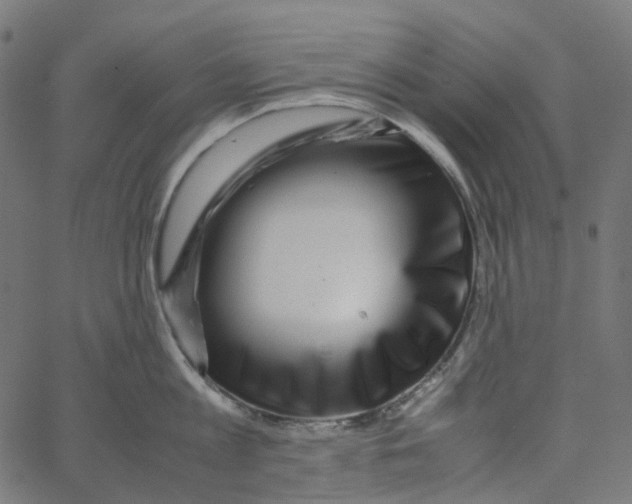 X0000067360813200604281723