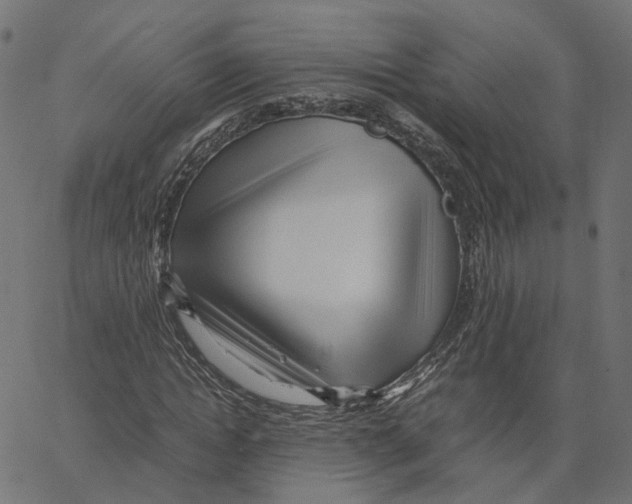 X0000067360822200604281723