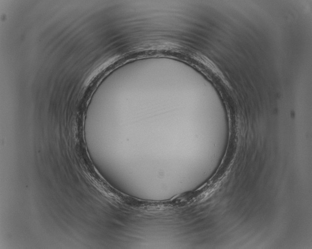 X0000067360826200604281723