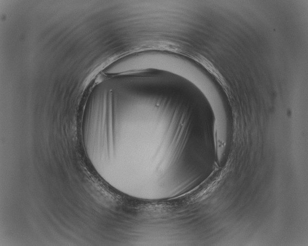 X0000067360834200604281723