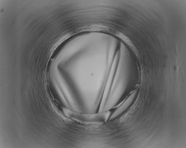 X0000067360850200604281723