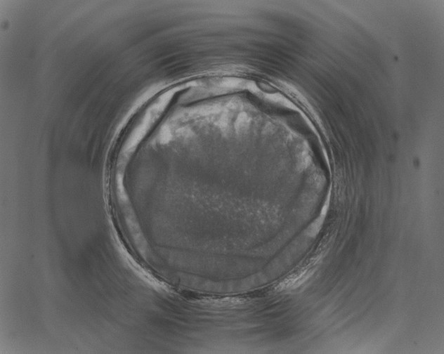 X0000067360851200604281723