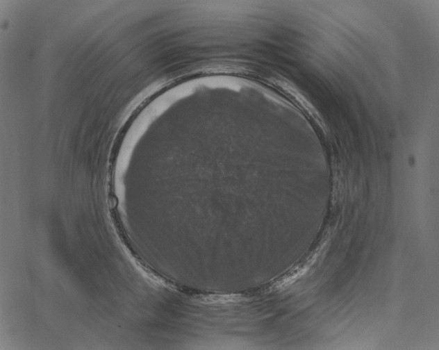 X0000067360853200604281723