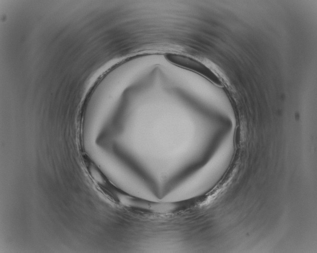 X0000067360854200604281723