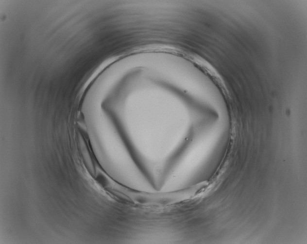 X0000067360860200604281723