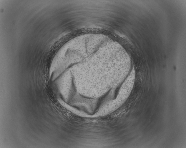 X0000067360870200604281722