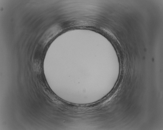 X0000067360873200604281722