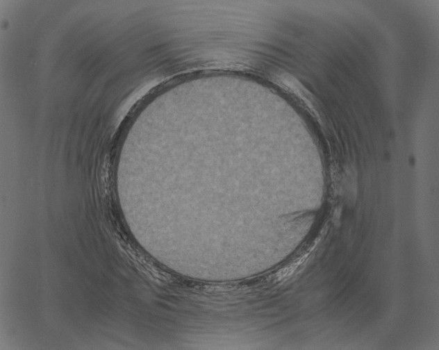 X0000067360875200604281722