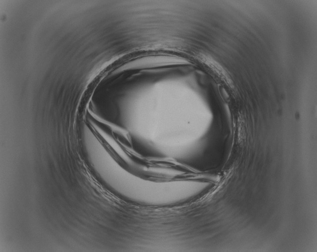 X0000067360876200604281722