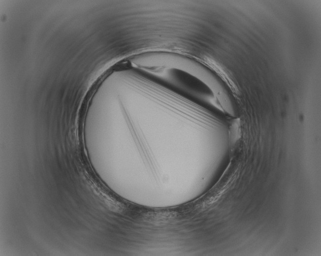 X0000067360884200604281722