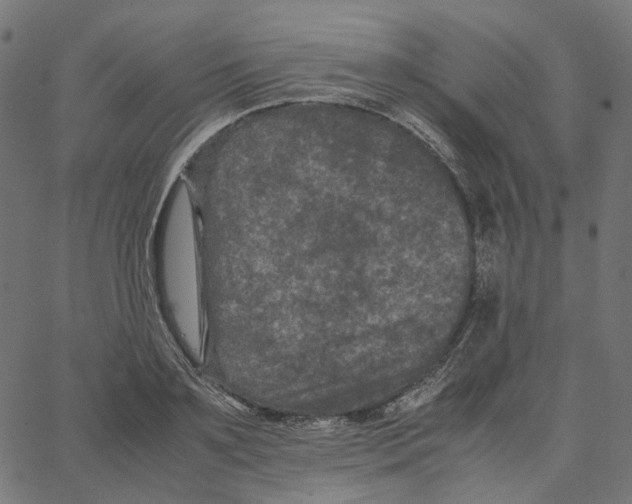 X0000067360891200604281722