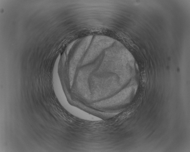 X0000067360916200604281721
