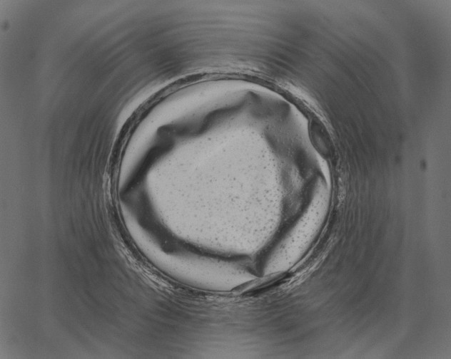 X0000067360928200604281721