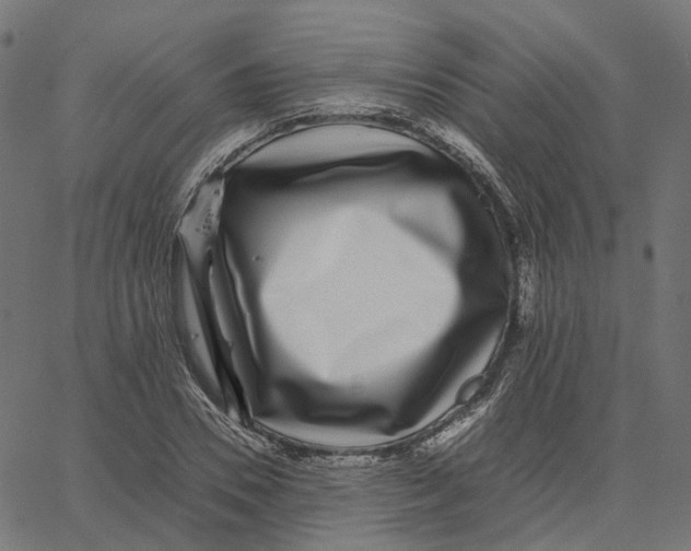 X0000067360930200604281721