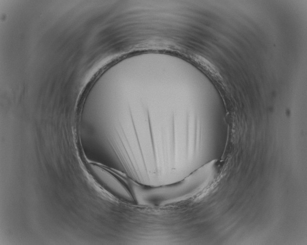 X0000067360942200604281721
