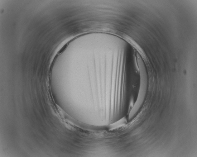 X0000067360956200604281722