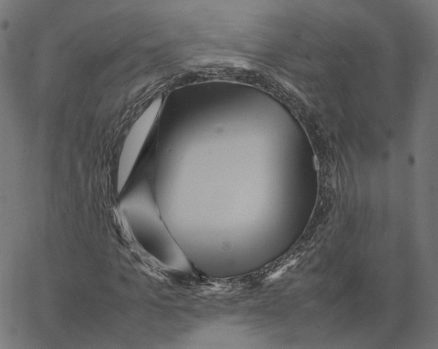 X0000067360965200604281721