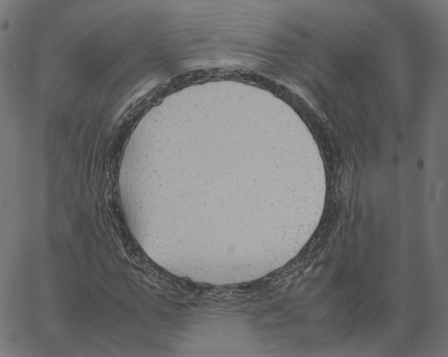 X0000067360967200604281721