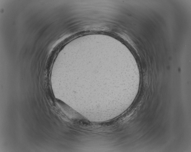 X0000067360971200604281721