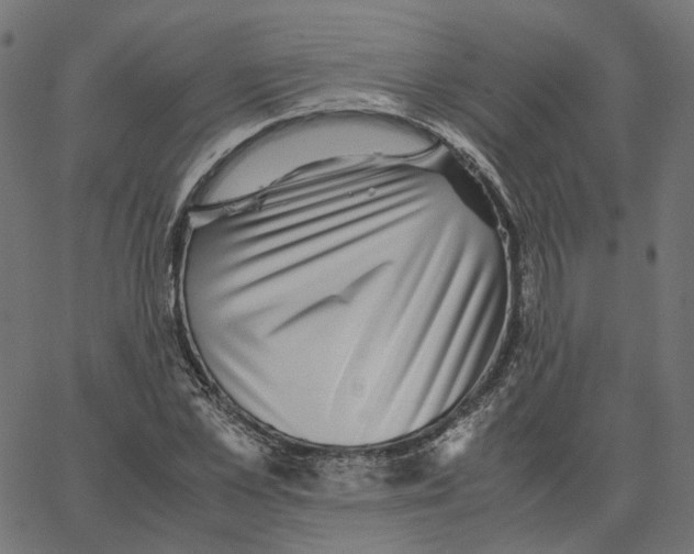 X0000067360973200604281721