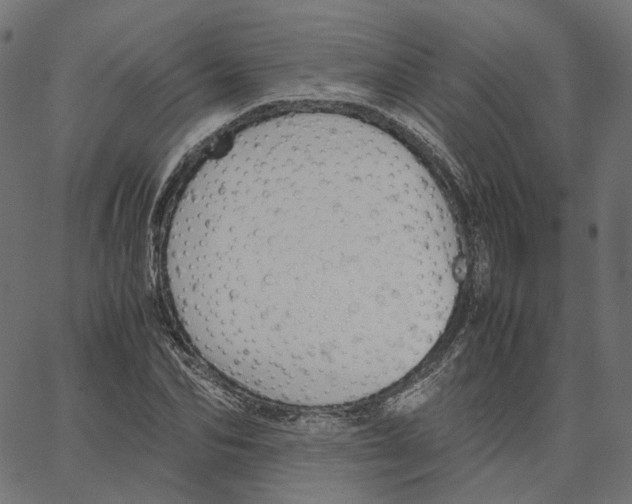 X0000067360974200604281721