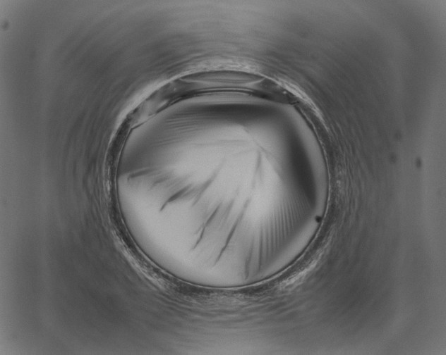 X0000067360981200604281721