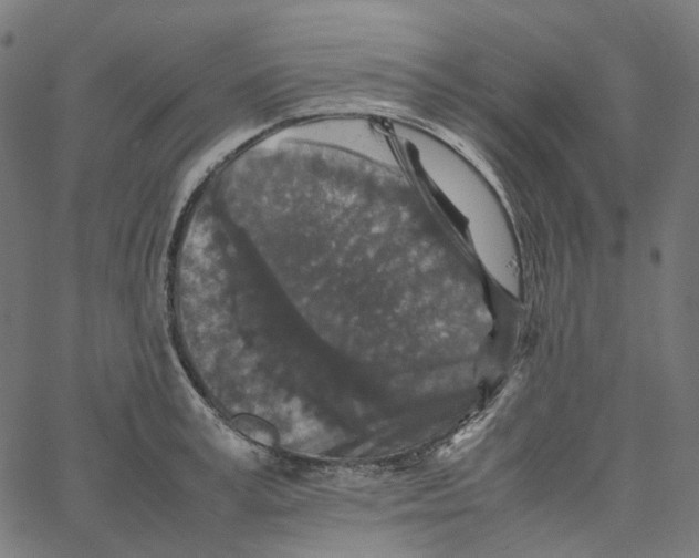 X0000067360995200604281720