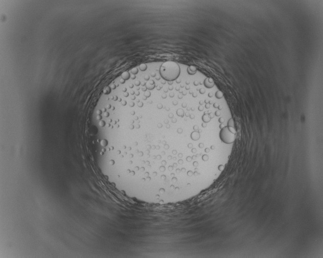 X0000067361009200604281719