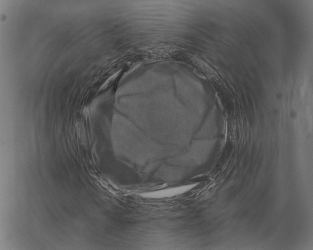X0000067361010200604281719