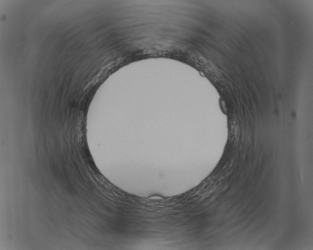 X0000067361012200604281719