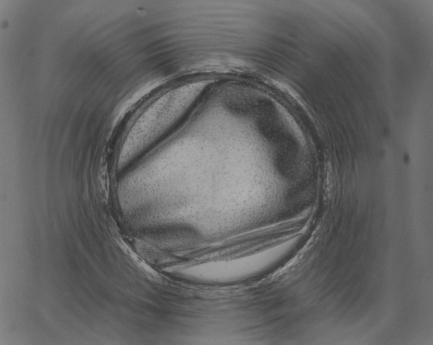 X0000067361018200604281720