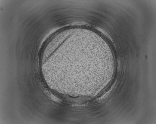 X0000067361021200604281720