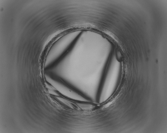 X0000067361022200604281720